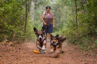 Ruffwear Gourdo Spielzeug Campfire Orange GR. S